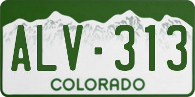 CO license plate ALV313