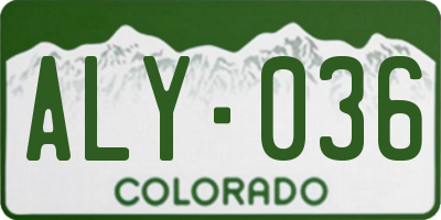 CO license plate ALY036