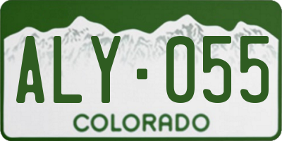 CO license plate ALY055