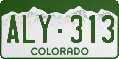 CO license plate ALY313