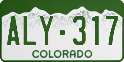 CO license plate ALY317