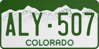 CO license plate ALY507
