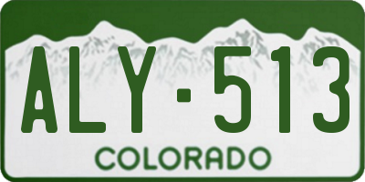 CO license plate ALY513
