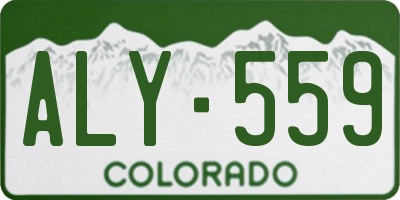 CO license plate ALY559