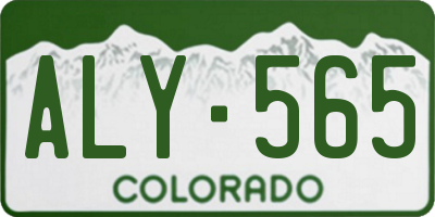 CO license plate ALY565
