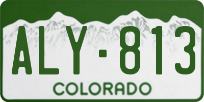 CO license plate ALY813