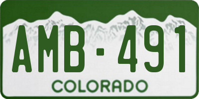CO license plate AMB491