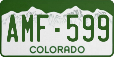 CO license plate AMF599