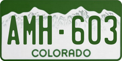 CO license plate AMH603