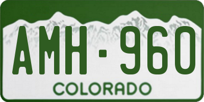 CO license plate AMH960