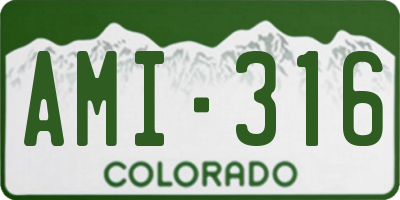 CO license plate AMI316