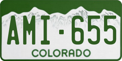 CO license plate AMI655