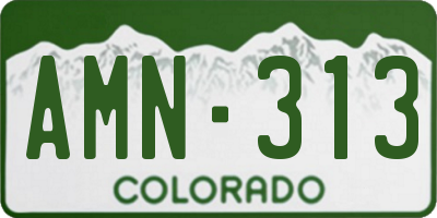 CO license plate AMN313