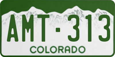 CO license plate AMT313