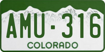 CO license plate AMU316
