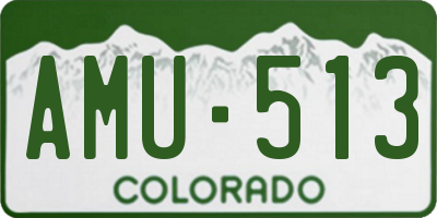 CO license plate AMU513
