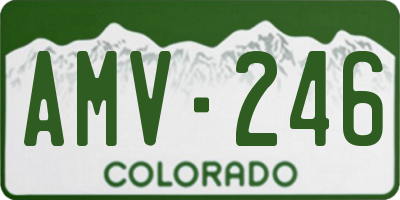 CO license plate AMV246