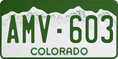 CO license plate AMV603