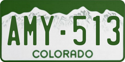 CO license plate AMY513