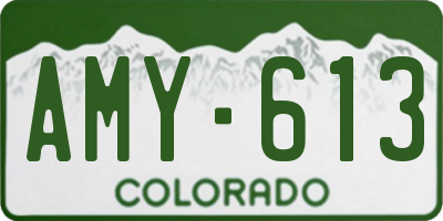 CO license plate AMY613