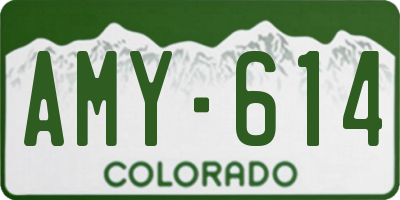 CO license plate AMY614