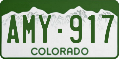 CO license plate AMY917