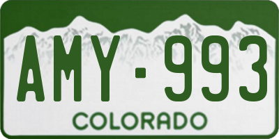CO license plate AMY993