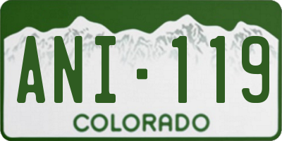 CO license plate ANI119