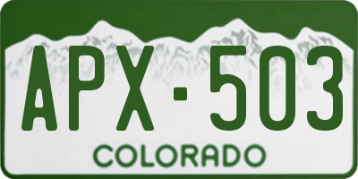 CO license plate APX503