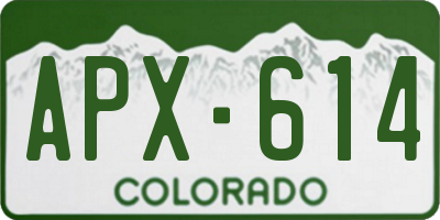 CO license plate APX614