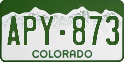 CO license plate APY873