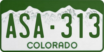 CO license plate ASA313
