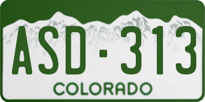CO license plate ASD313