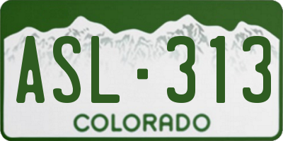 CO license plate ASL313