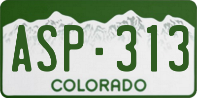 CO license plate ASP313