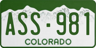 CO license plate ASS981