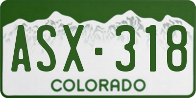 CO license plate ASX318