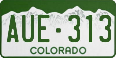 CO license plate AUE313