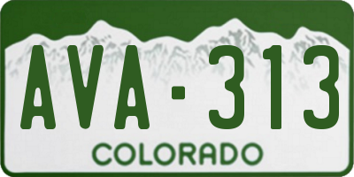 CO license plate AVA313