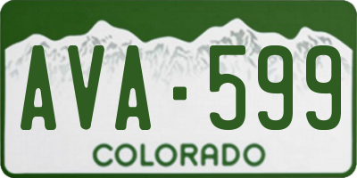 CO license plate AVA599