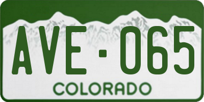 CO license plate AVE065