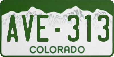 CO license plate AVE313