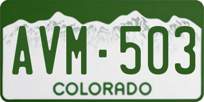 CO license plate AVM503