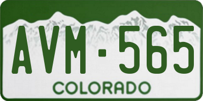 CO license plate AVM565
