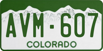 CO license plate AVM607