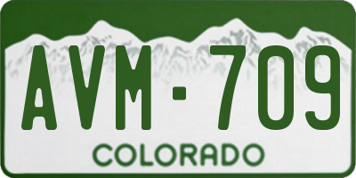 CO license plate AVM709
