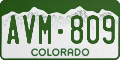 CO license plate AVM809