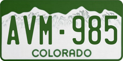 CO license plate AVM985