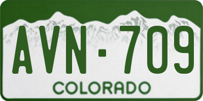 CO license plate AVN709