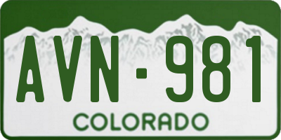 CO license plate AVN981